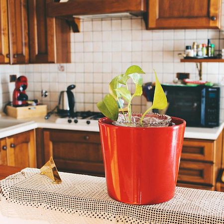 トリエステCasa Mira - Ampio, Fully Equipped E Zona Tranquillaアパートメント エクステリア 写真