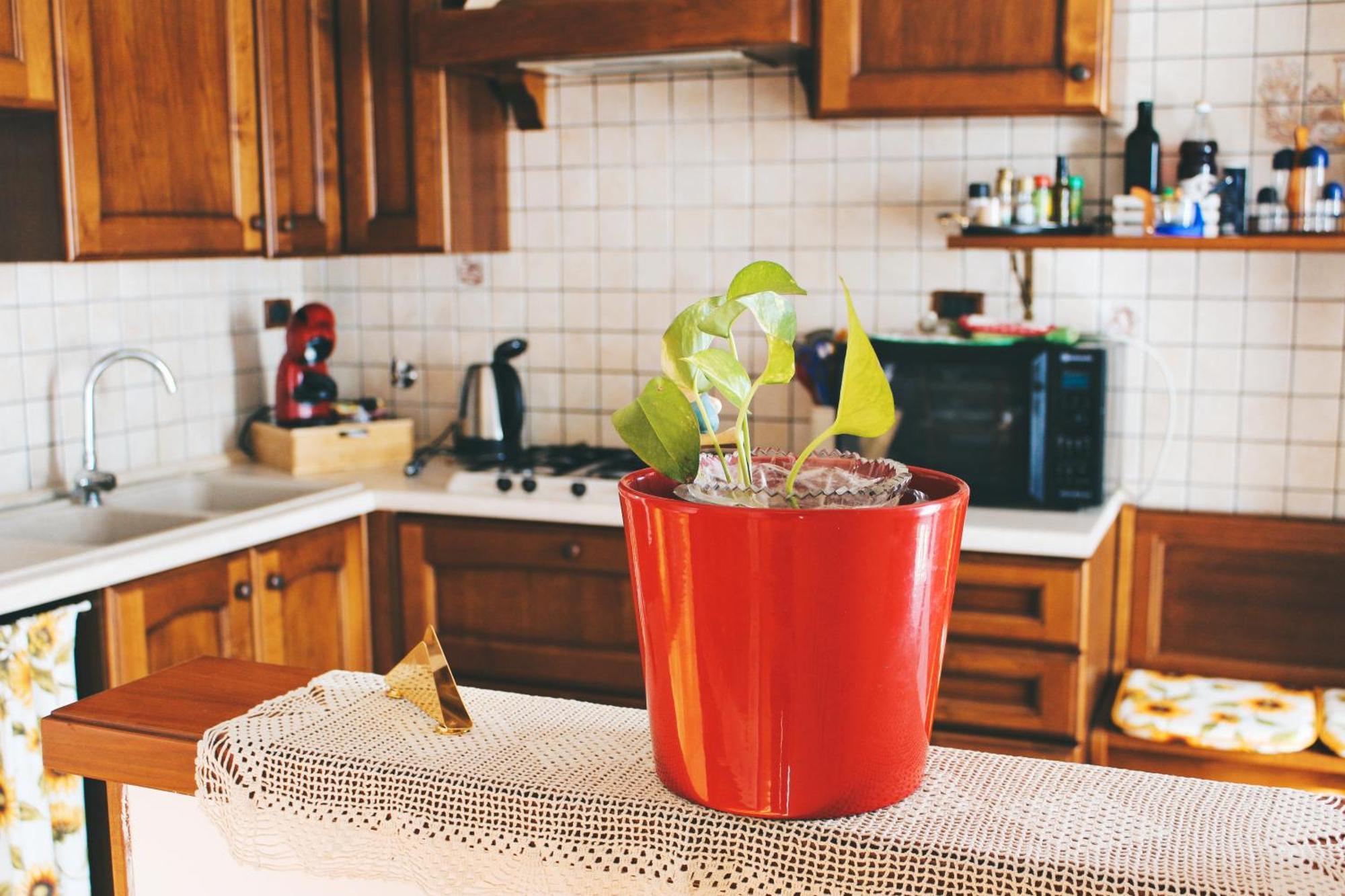 トリエステCasa Mira - Ampio, Fully Equipped E Zona Tranquillaアパートメント エクステリア 写真